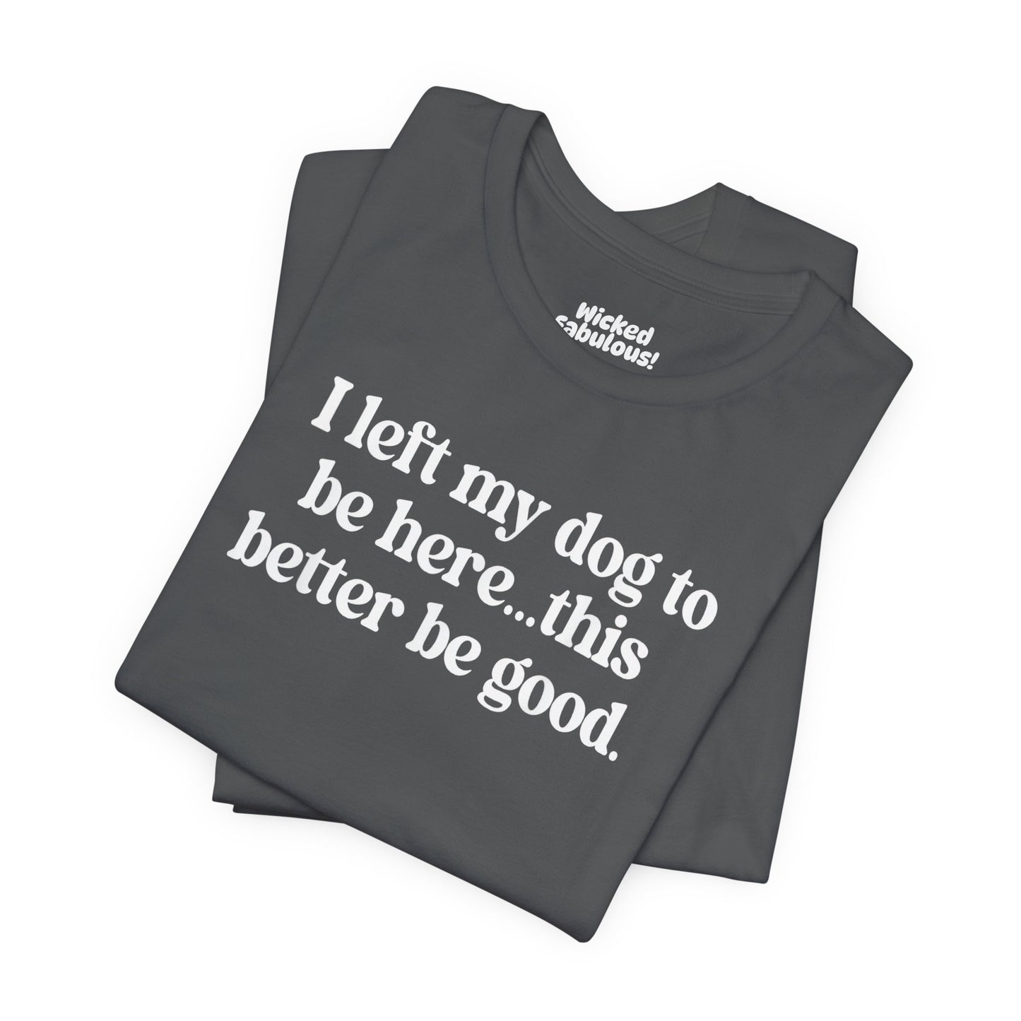 Funny Dog Lover Tee - "I Left My Dog To Be Here... This Better Be Good"