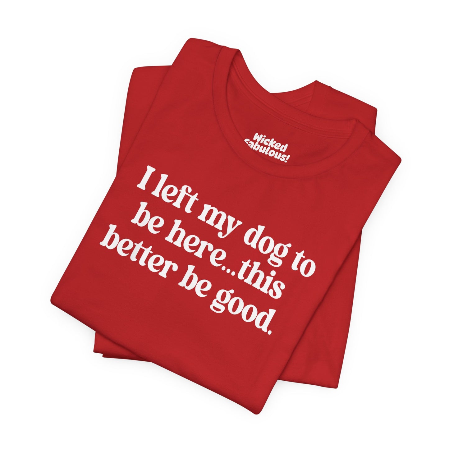 Funny Dog Lover Tee - "I Left My Dog To Be Here... This Better Be Good"