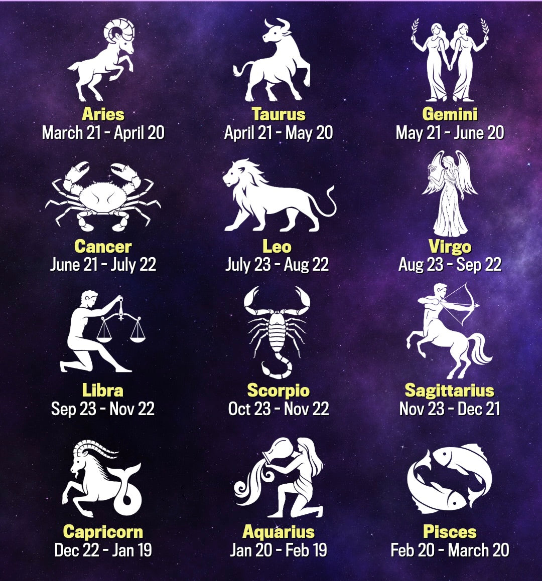 The Stars Aligned: Finding Your Zodiac Energy & Meaningful Connection