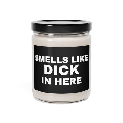 Smells Like Dick in Here Candle