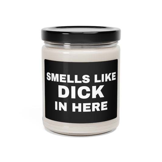 Smells Like Dick in Here Candle