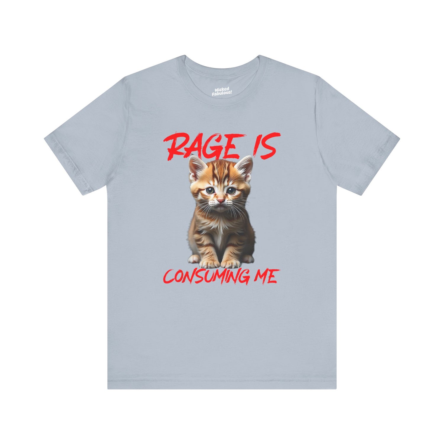 Funny Cat Tee - 'RAGE IS CONSUMING ME' Unisex Jersey Shirt