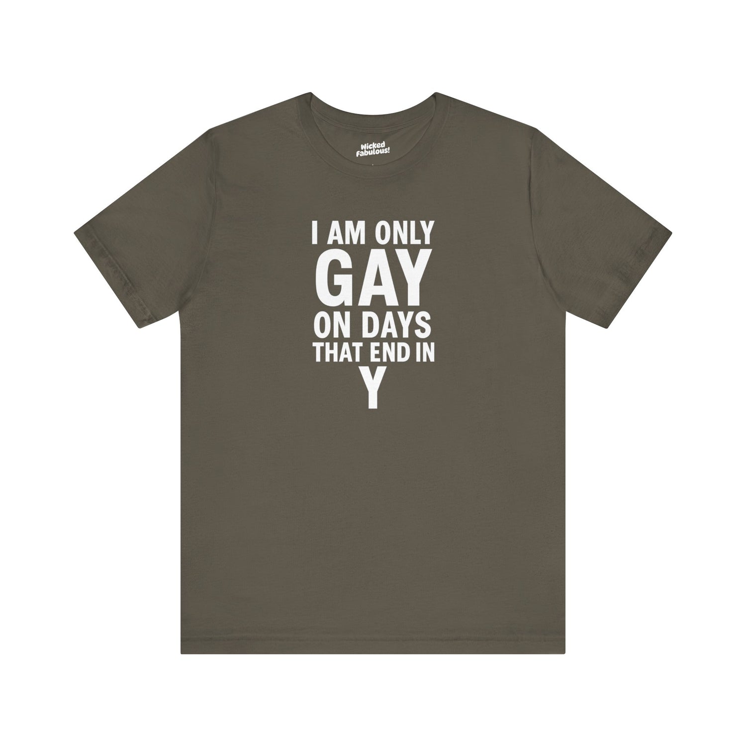 I Am Only Gay on Days That End in Y