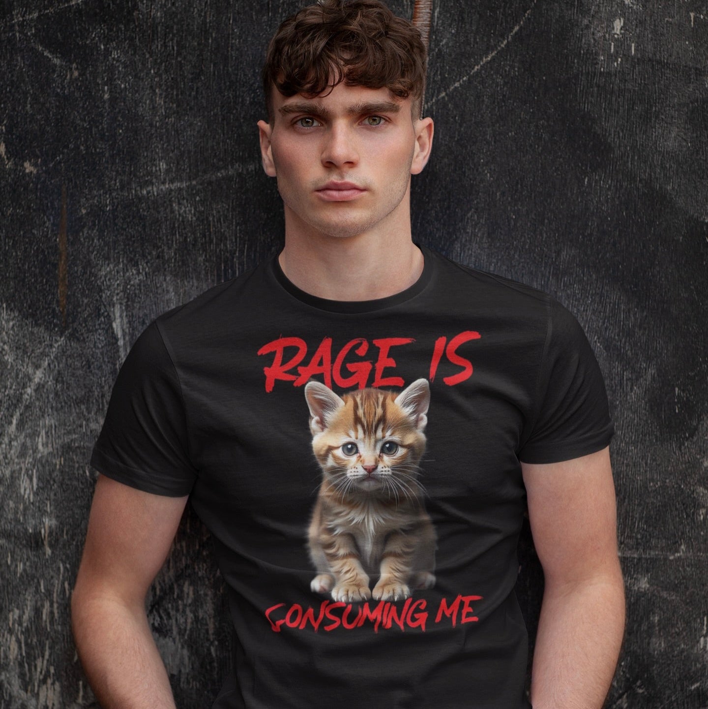 Funny Cat Tee - 'RAGE IS CONSUMING ME' Unisex Jersey Shirt