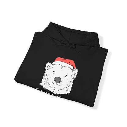 Santa Bear