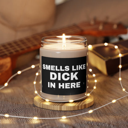 Smells Like Dick in Here Candle