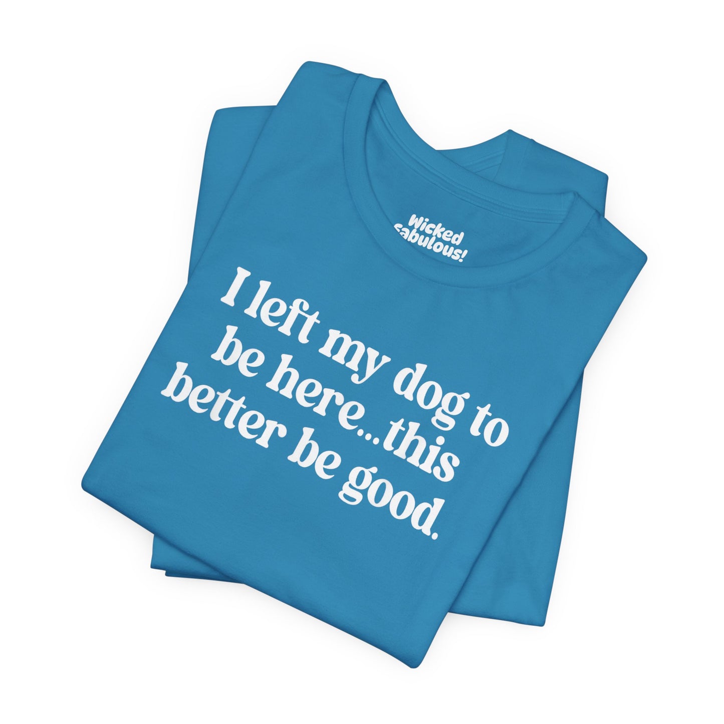 Funny Dog Lover Tee - "I Left My Dog To Be Here... This Better Be Good"