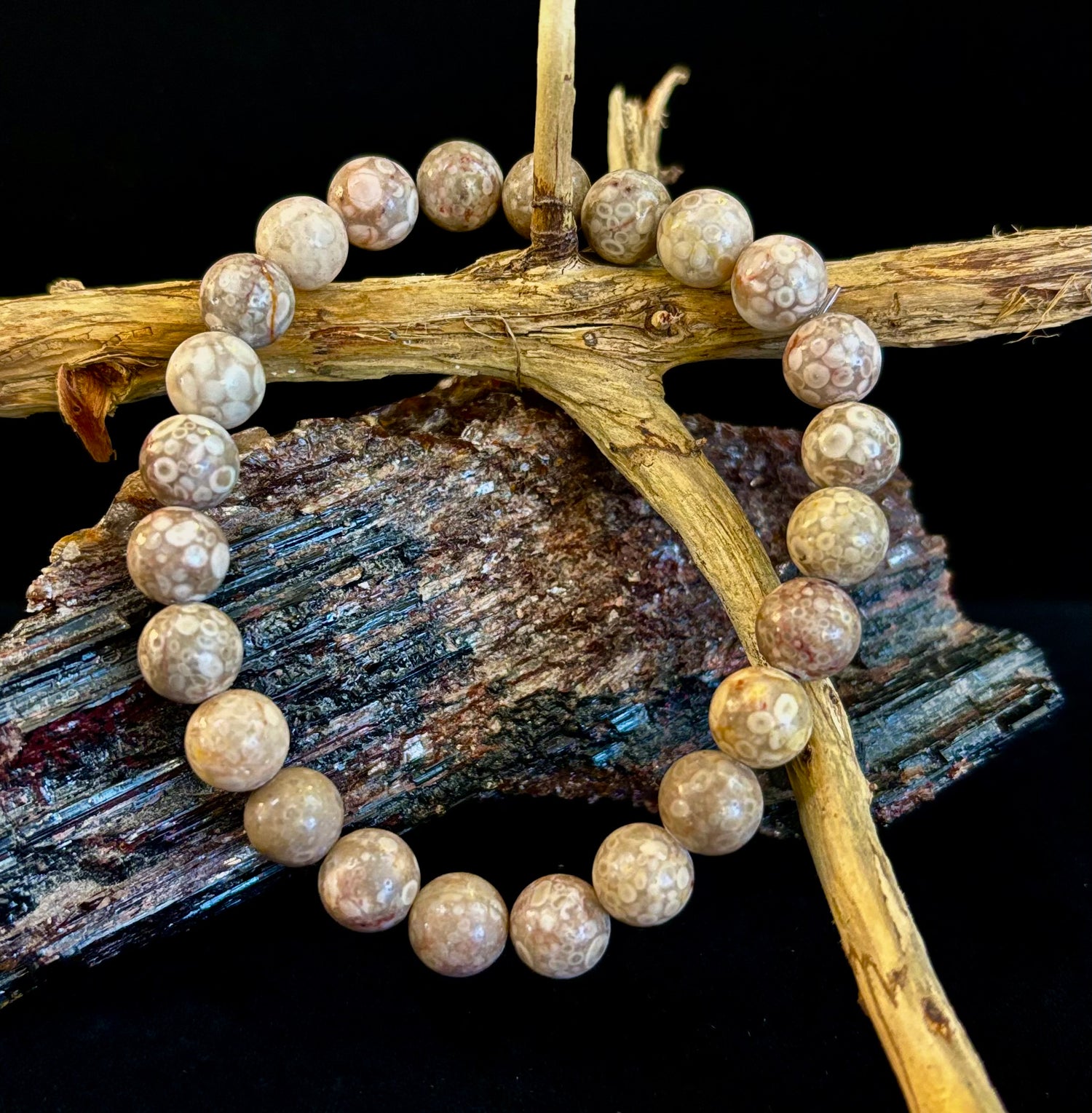 Fossil Coral Bracelet – Natural Grounding Stone for Stability & Calm
