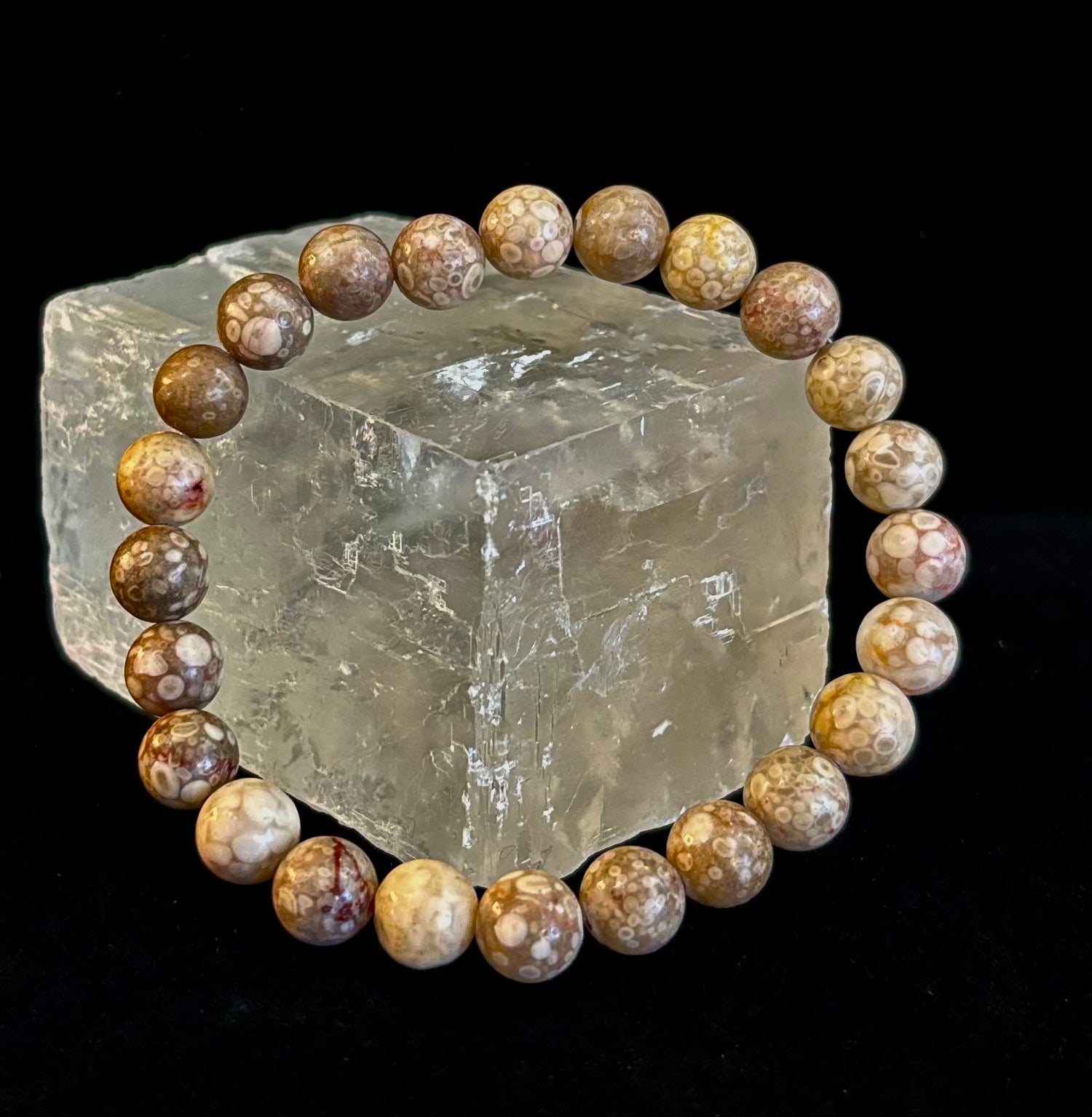 Fossil Coral Bracelet – Natural Grounding Stone for Stability & Calm