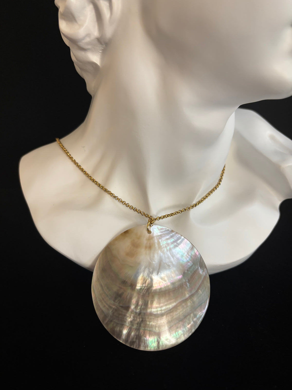 Wicked Shell Natural Abalone Shell Pendant Necklace – Gold O-Shape Chain Elegance ...