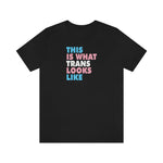 This is What Trans Looks Like - Wicked Naughty Apparel