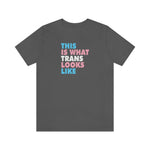 This is What Trans Looks Like - Wicked Naughty Apparel